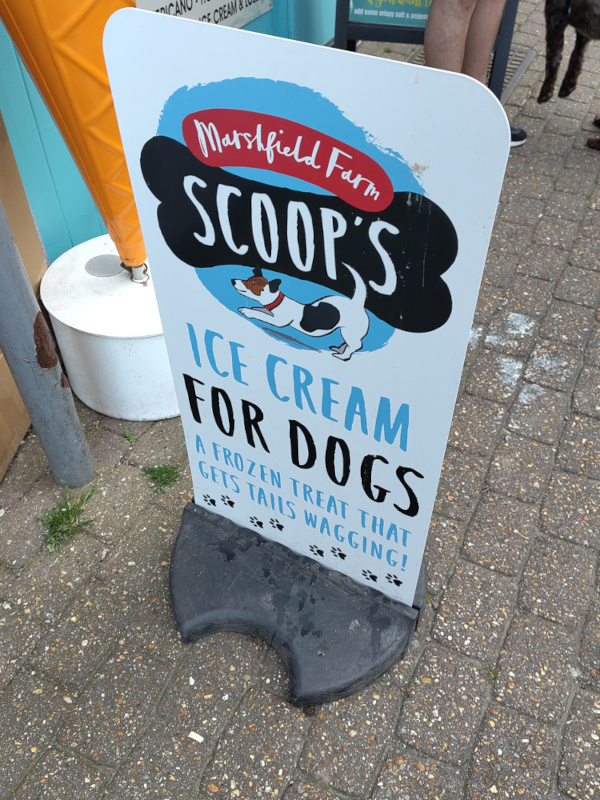 Glace pour chiens Glace pour chiens